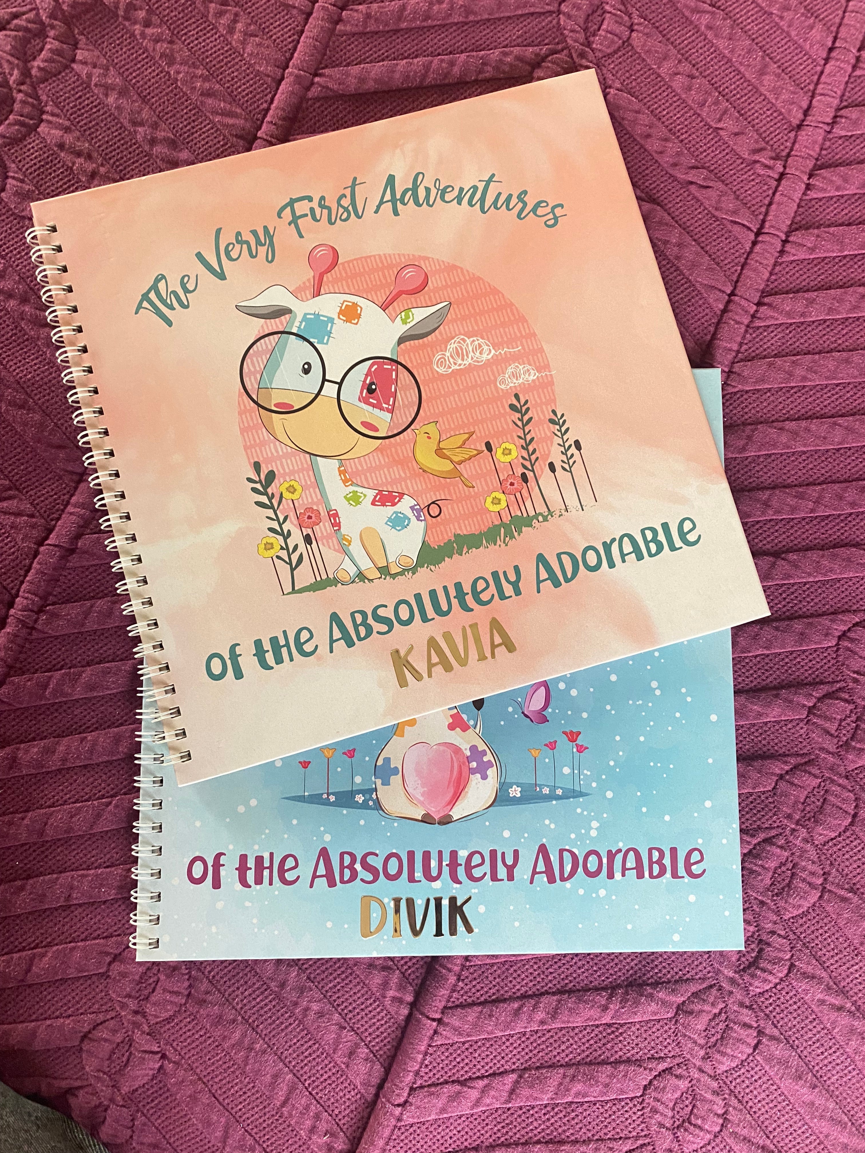Products Baby Record Book (Pink)
