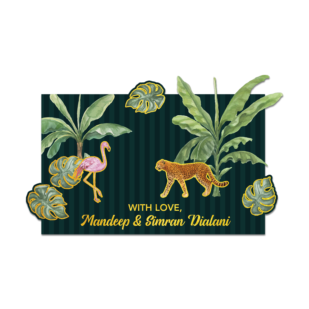 Midnight Safari