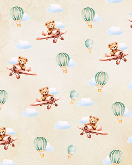 Airplane & Bear Tales