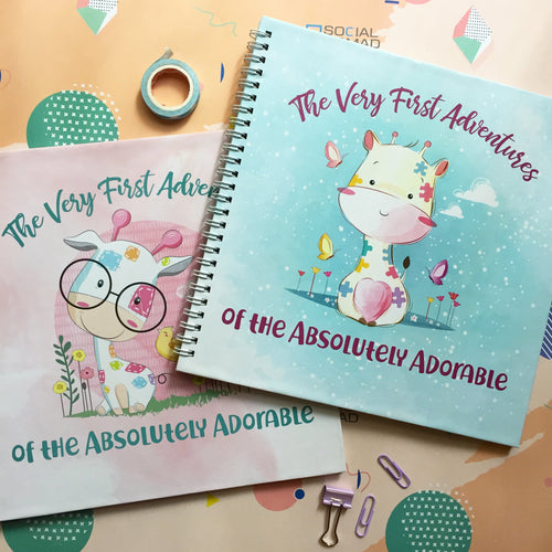 Products Baby Record Book (Pink) 