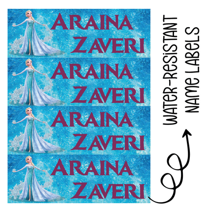 Frozen Dreams - Stickers