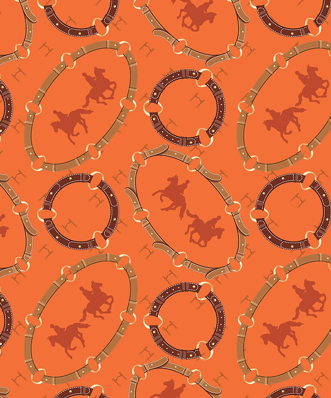 Equestrian Fun