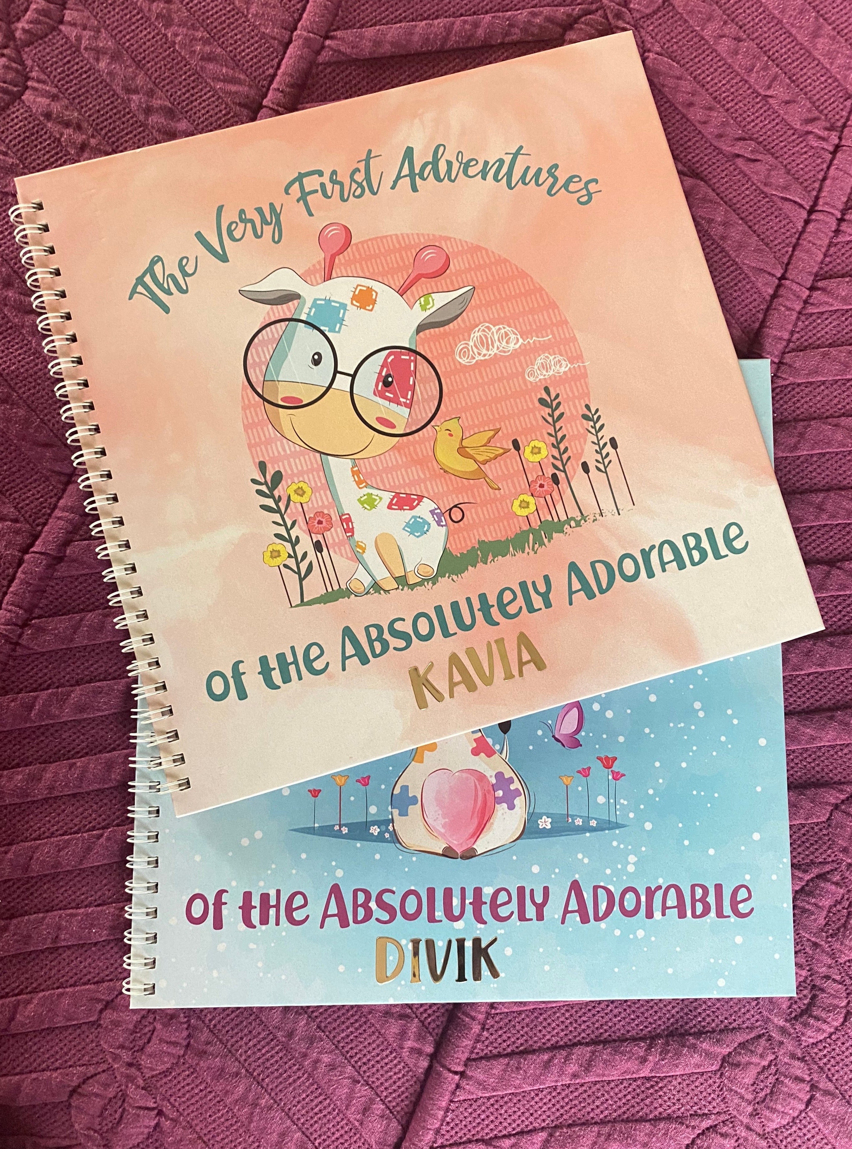 Baby Record Book By nomad design