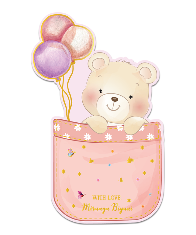 Ted The Teddy